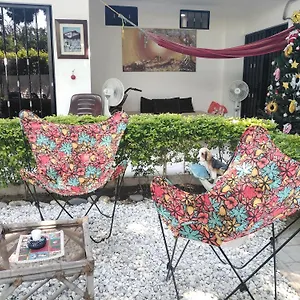 Moreli Colombia